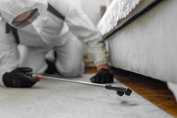 Professional Bed Bug Control technician working in Camanche Village, CA