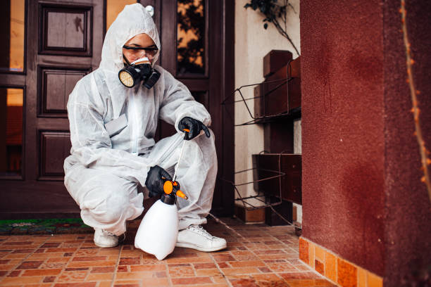 Reliable Bed Bug Control contractor in Camanche Village, CA by Nex Pest Control