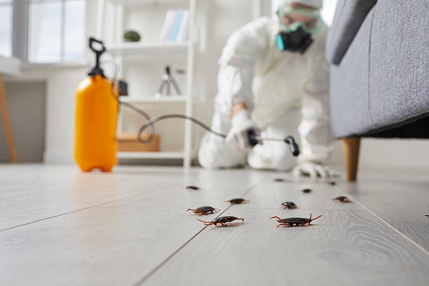 Trusted Emergency Pest Control service in Camanche Village, CA - Nex Pest Control