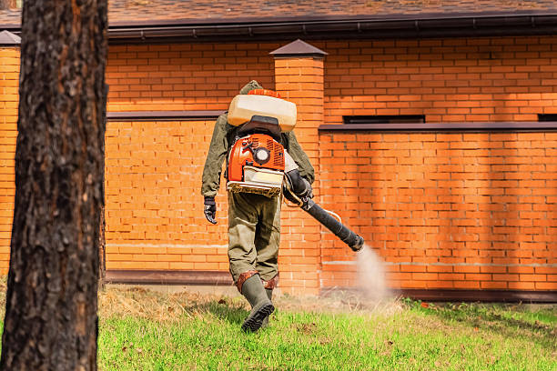 Trusted Cockroach Control service in Camanche Village, CA - Nex Pest Control